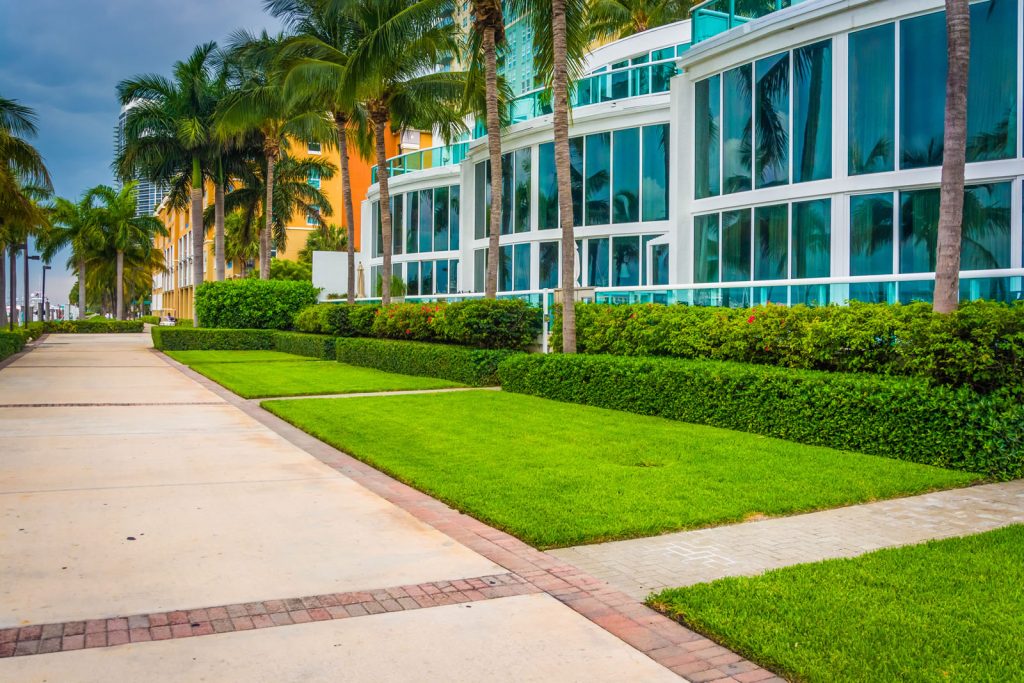 commercial yard lawn maintenance service